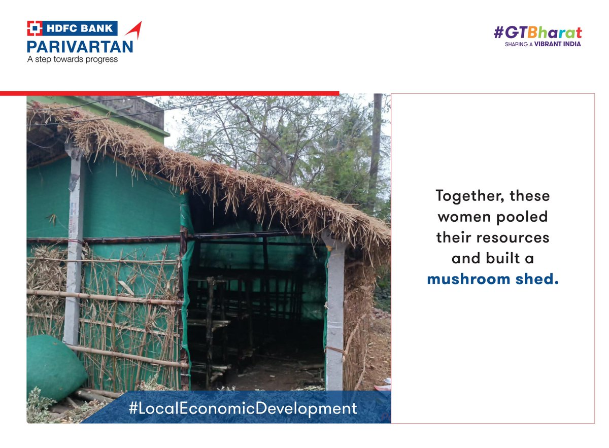 GrantThorntonIN's tweet image. #LocalEconomicDevelopment | In the heart of Khairabad village in Jajpur, Odisha, 35 determined women from three Self Help Groups - Anantajew SHG, Mahavir SHG, and Babasapaneswar SHG - are defying the odds and transforming into successful #agripreneurs.