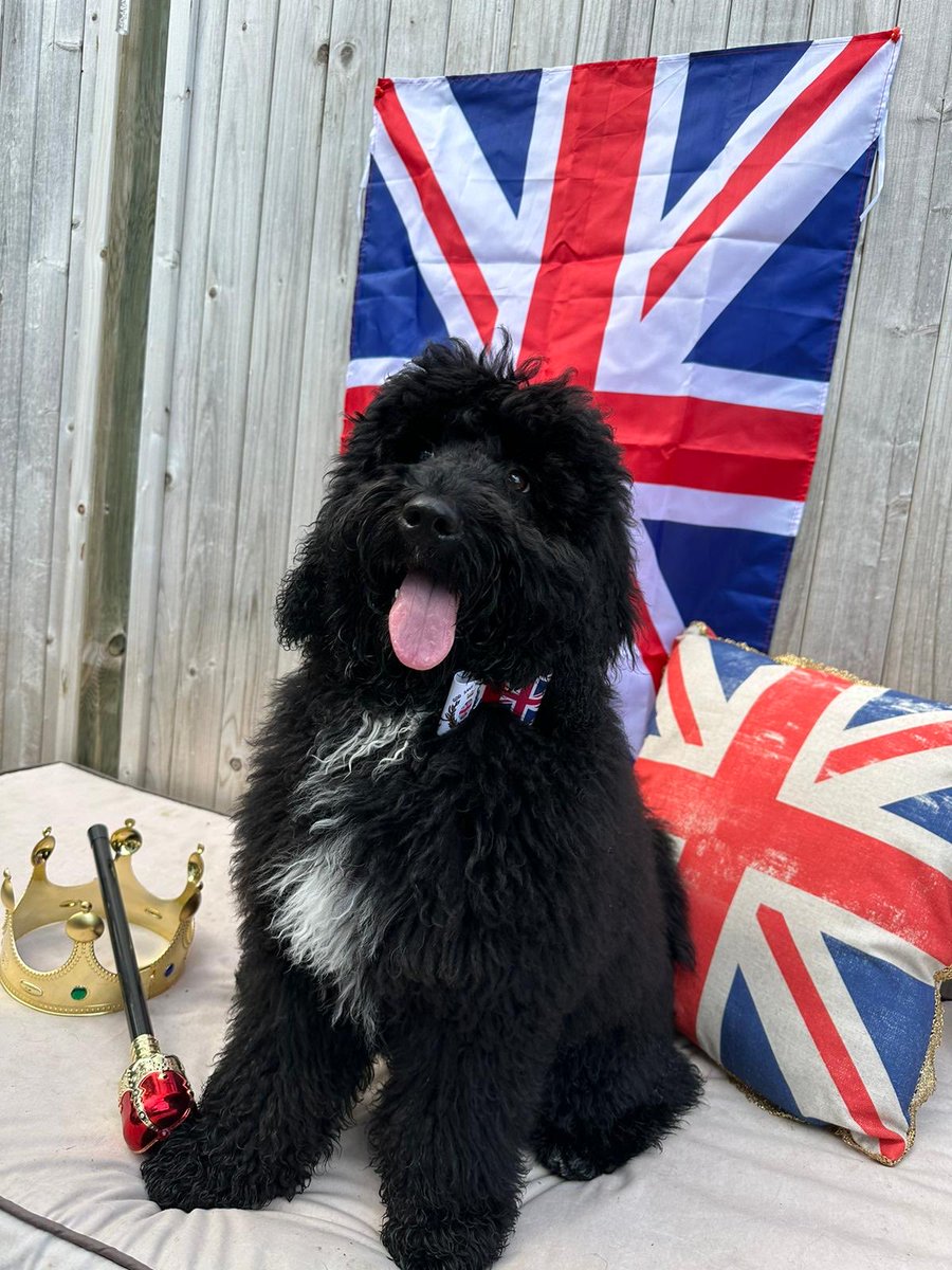 Left murph with friends whilst we are away. Working him hard on a photo shoot #coranationprep