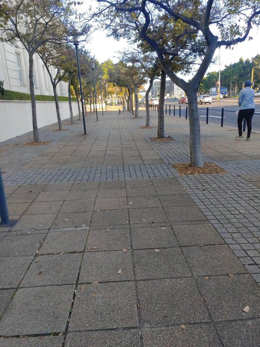 JohnDoe110411's tweet photo. “I come alive in the Fall time”
@reficapetown
#ReFi_This
#GitcoinBeta
#RefiCapeTown https://t.co/i8u0LB8N75