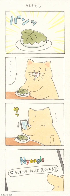 4コマ漫画ネコノヒー「かしわ餅」。 #子供の日