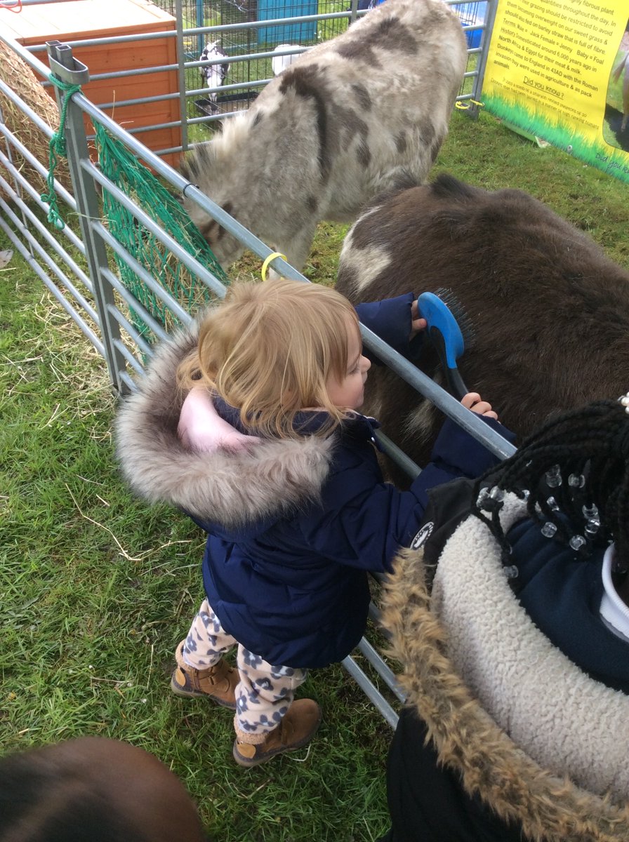 FS1Beck's tweet photo. Last week Nursery had the amazing experience of a visit from a real life farm. We had the opportunity to learn about and touch lots of farm animals, which we absolutely loved! #BeckScience #BeckUnderstandingoftheWorld https://t.co/krOVGzHU8b