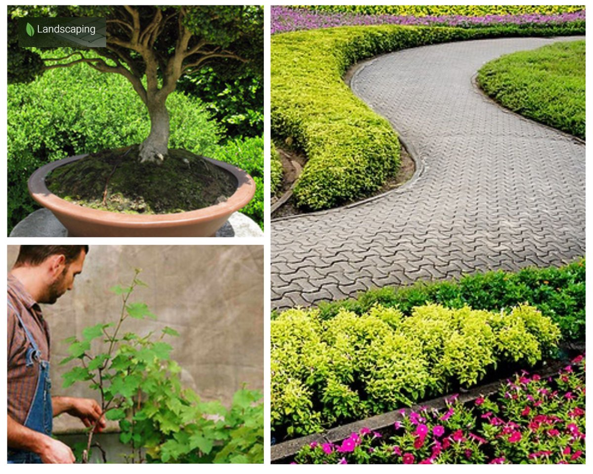 slandscapingpro's tweet photo. Keep your garden healthy and beautiful with Sydney Landscaping Pro. Join this link
https://t.co/uOTcr6lanA
#garden #maintenance #services #gardenmaintenance #sydney #gardendesigning #gardenlandscaping #landscaping #australia #beautifulgarden #sydneygardenmaintenance #landscape https://t.co/Md1Uukwn7v