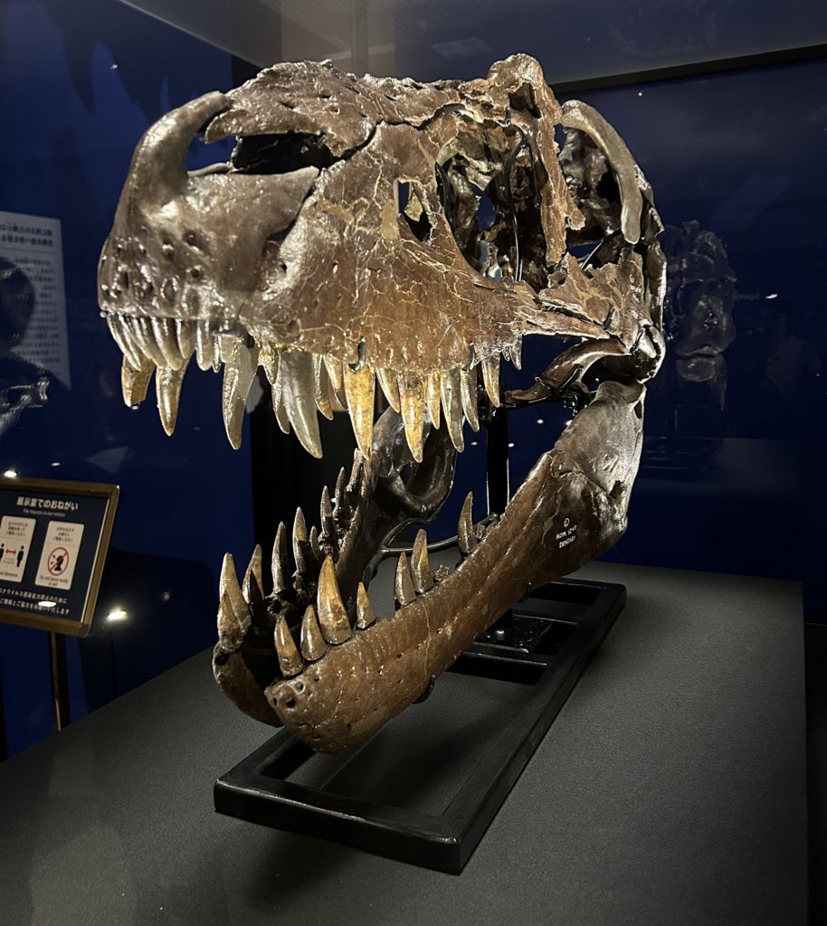 萩原グレイトマキシマムフルブラスト on Twitter 