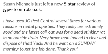 JG Pest Control (@jgpest) on Twitter photo Ending the week here at JG on a very positive note.
Big up Susan for her lovely words and ⭐️⭐️⭐️⭐️⭐️ <a href="/Trustpilot/">Trustpilot</a> review.
Brave technicians, and Sunday call outs! What more could you want 💪🐀 Ending the week here at JG on a very positive note.
Big up Susan for her lovely words and ⭐️⭐️⭐️⭐️⭐️ <a href="/Trustpilot/">Trustpilot</a> review.
Brave technicians, and Sunday call outs! What more could you want 💪🐀