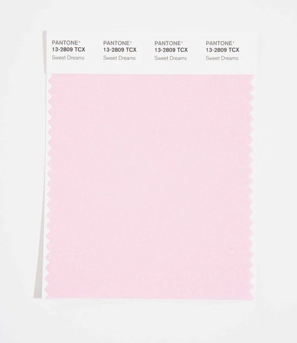 코트박 tweet media