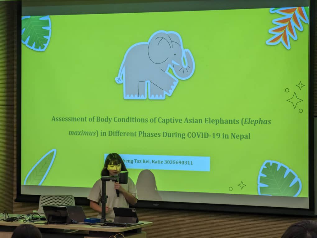 AppliedEcoLab's tweet image. Congrats to our FYP students Harry and Katie giving their final presentations today!