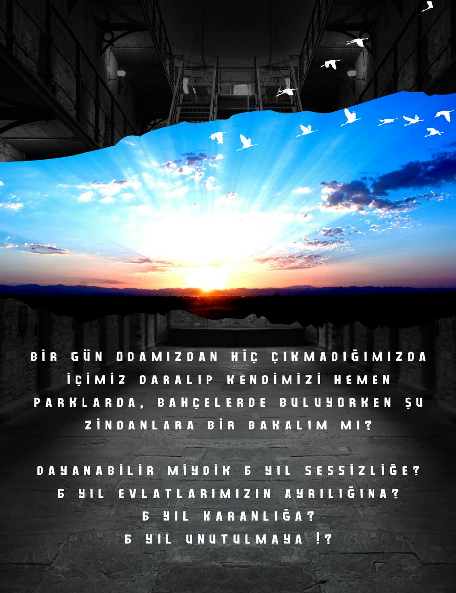 İnsanlar arıyorum…
Bozulmuş dengeleri düzeltmek için çabalayan…
Yüreğinde rahmetin izini taşıyan insanlar…

Children Miss Their Moms
Çocuklar Annesiz Uyuyor
Ölüme terkedilmiş Anneler