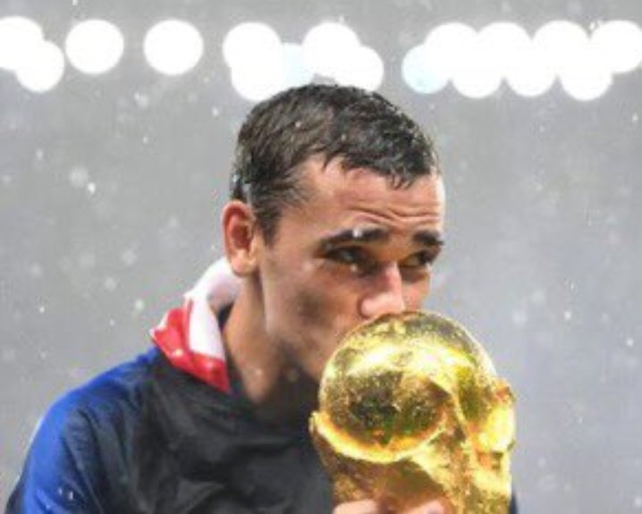 Monkey 🇵🇸 tweet media