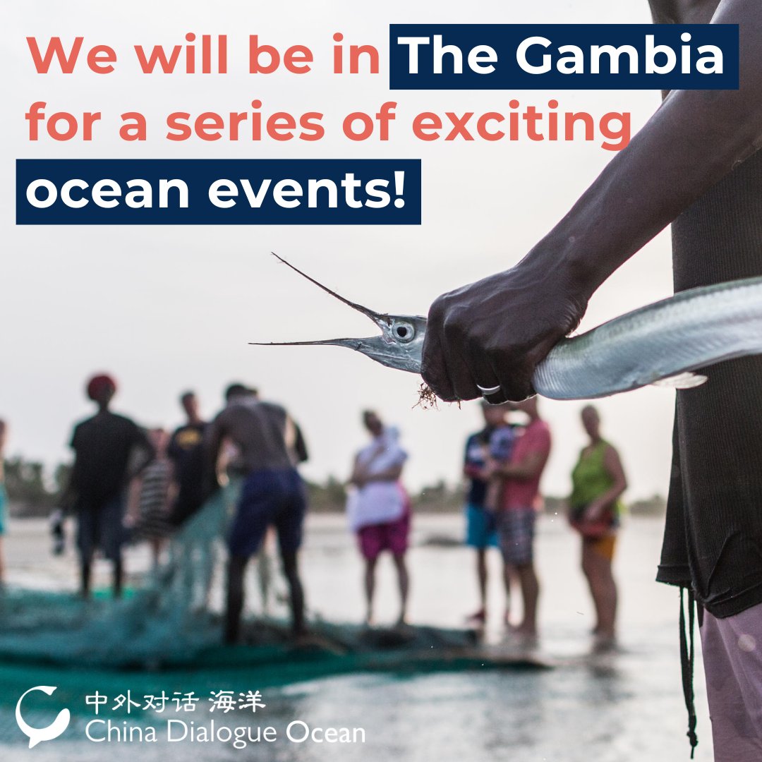 📢UPCOMING WORKSHOP China Dialogue Ocean is organising an exciting programme of events in The Gambia from May 8-10 2023, in partnership with the University of the Gambia (@UniOfGambia), the Stimson Center (@StimsonCenter) and TMT (@tm_tracking). 🧵1/12