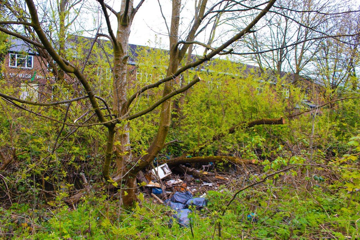 River Cole Community Commons tweet media