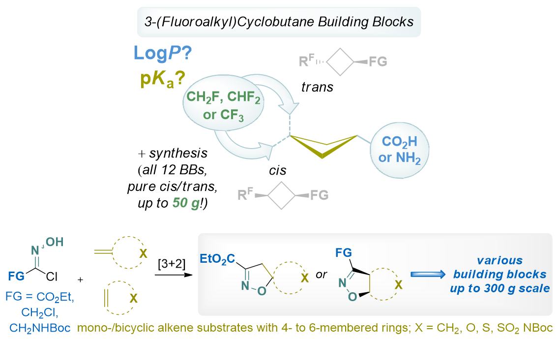 For some reason, I forgot to post about our recent publications! And we have two papers in our beloved <a href="/EurJOC/">EurJOC</a> :-) 

doi.org/10.1002/ejoc.2…
doi.org/10.1002/ejoc.2…

<a href="/EnamineLtd/">Enamine Ltd 🇺🇦</a>  <a href="/KyivUniversity/">КНУ ім. Т. Шевченка</a> 

#UkraineStands #terroruzziMustDie