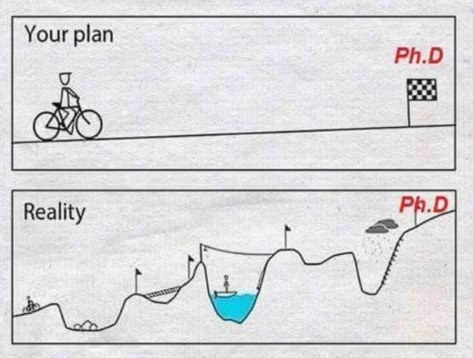 ShaheryarShafi_'s tweet photo. Your PhD journey: what people think vs Reality!
#phdjourney #phdreality #writing #research #education #researchtopic #researchtips #academicresearch #AcademicTwitter #epitwitter #MedTwitter #phchat #acwri https://t.co/Oujtj96m32