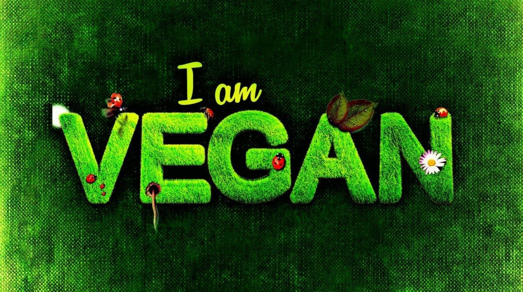 schmoozequeen's tweet photo. I AM VEGAN 🐝🐞🌱
#IAMVEGAN https://t.co/hpjNjG9xjz