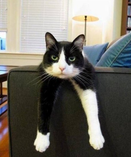 Mr. Soul of Nature.ZRZHMix (@mrlin97656979) on Twitter photo 