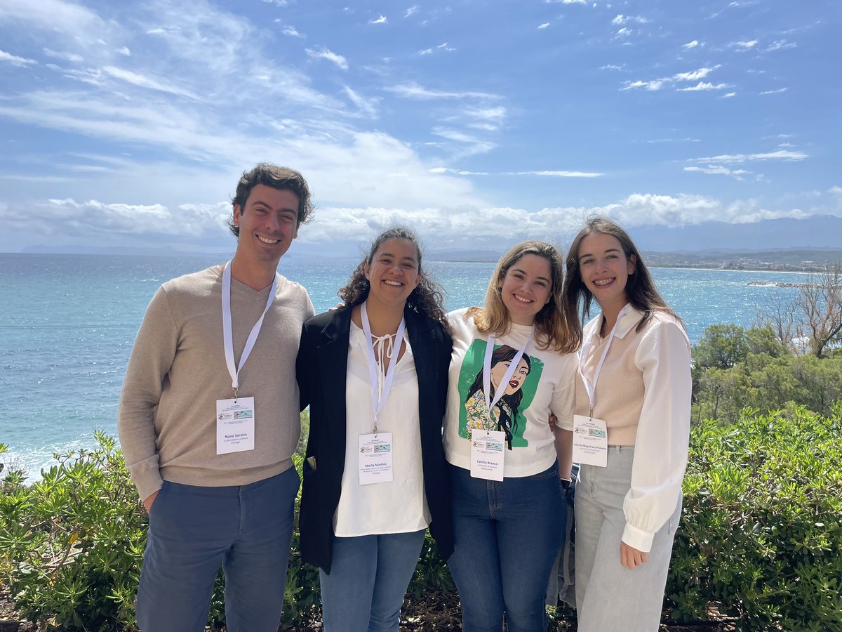 Inês Pinheiro tweet media