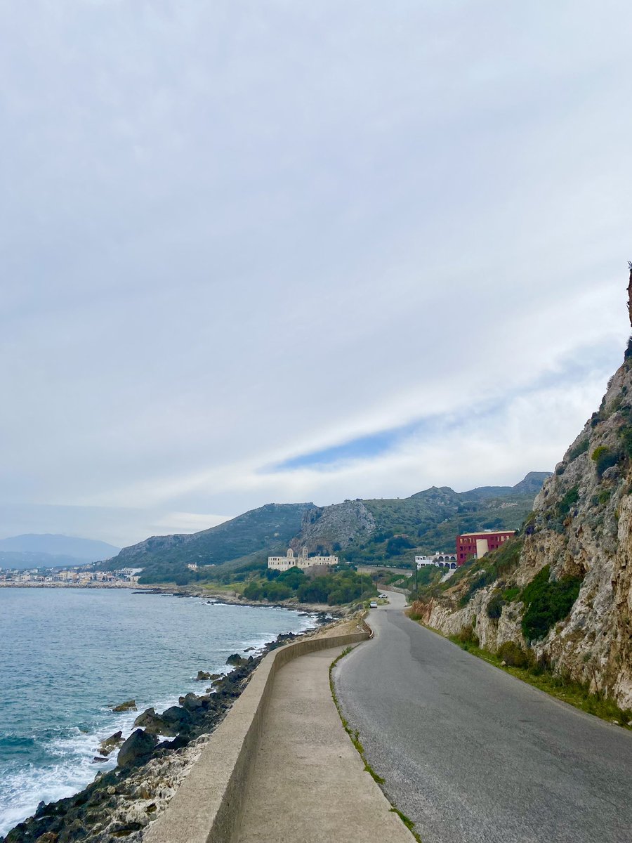 Inês Pinheiro tweet media