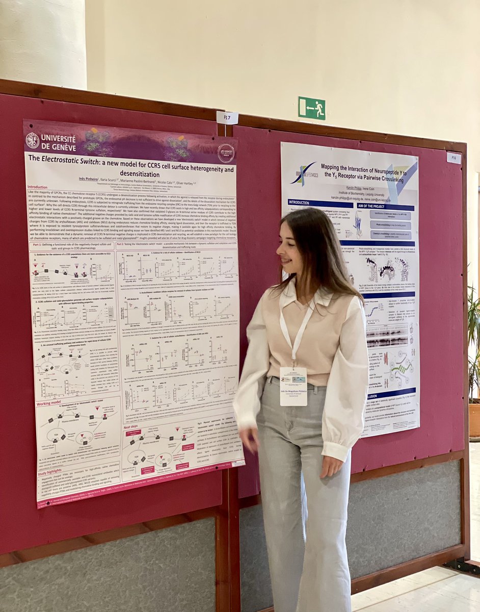 Inês Pinheiro tweet media