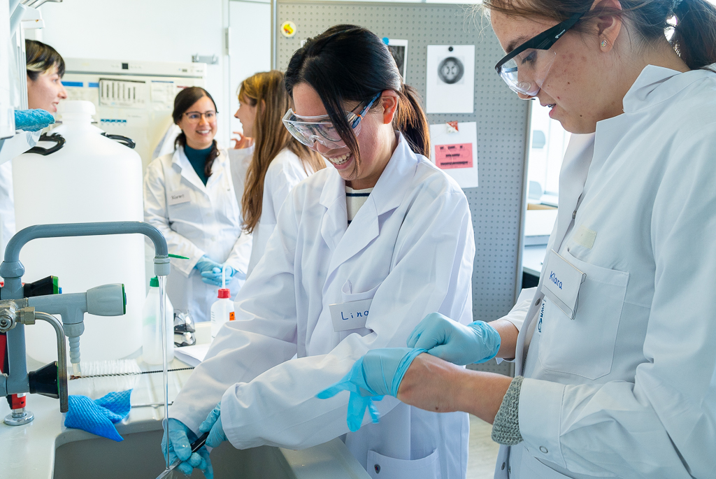 MPIbp's tweet photo. We had a fantastic #GirlsDay with 20 curious and motivated girls last week! They learned about how to investigate the smallest building blocks in our bodies. Ever extracted and looked at the #DNA of tomatoes? The girls did! 🍅🧪
@Der_GirlsDay #GirlsDay2023 #biophysics #education https://t.co/IumXo3xB7K