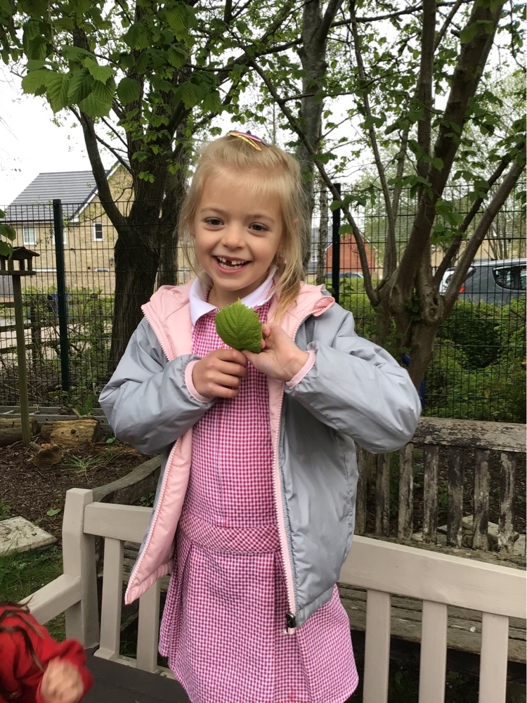 StrettonStMatts's tweet photo. Class 1 went on a nature walk during our science lesson to find different leaves and trees. We tried to identify the type of tree based on the leaf. #ssm #ssmscience https://t.co/YhMjs4MEMV