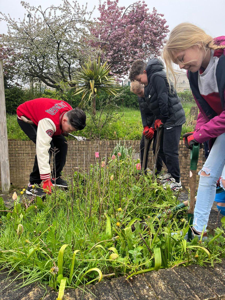 St Francis in Bloom-marking the King’s Coronation by planting bulbs and plants donated by our generous families around our school grounds. Thank you everyone!  #outdoorlearning #Coronation2023 <a href="/bcw_cat/">Blessed Christopher Wharton Catholic Academy Trust</a>