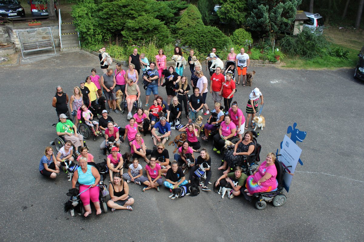 adiintl's tweet photo. Today is European Independent Living Day. Our regional chapter Assistance Dogs Europe has 48 Members and 14 Candidates across 21 different European countries, all working to provide #assistancedogs to help people live more independently. #IndependentLivingDay #ILDay2023 #ILDay https://t.co/6qhVq3LXj1