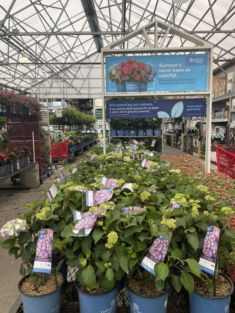 MikeGondola's tweet photo. Lowes North Bergen NJ ready for an Endless Summer! https://t.co/3OV0pC1cNA