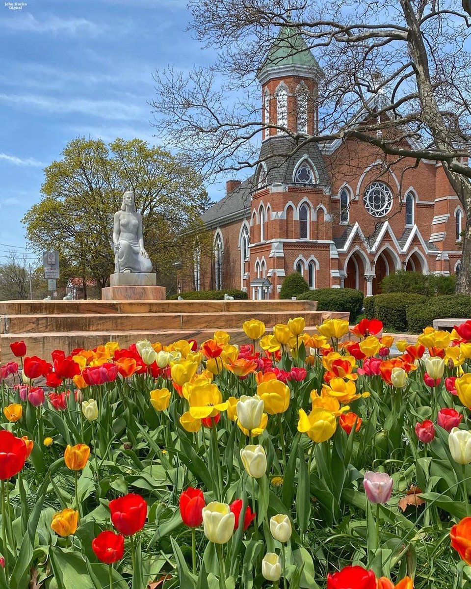 VisitFLX's tweet photo. Did you know?
Tonight’s Full Moon is known as Flower Moon to signify the flowers that bloom during the month. 🌙🌼
Celebrate by stopping by Main Moon for dinner, then hitting up Pulteney Park to admire the flowers in bloom.
📸: @johnkucko_ (IG)
#FLX #VisitFLX https://t.co/y7zbNr4BbN