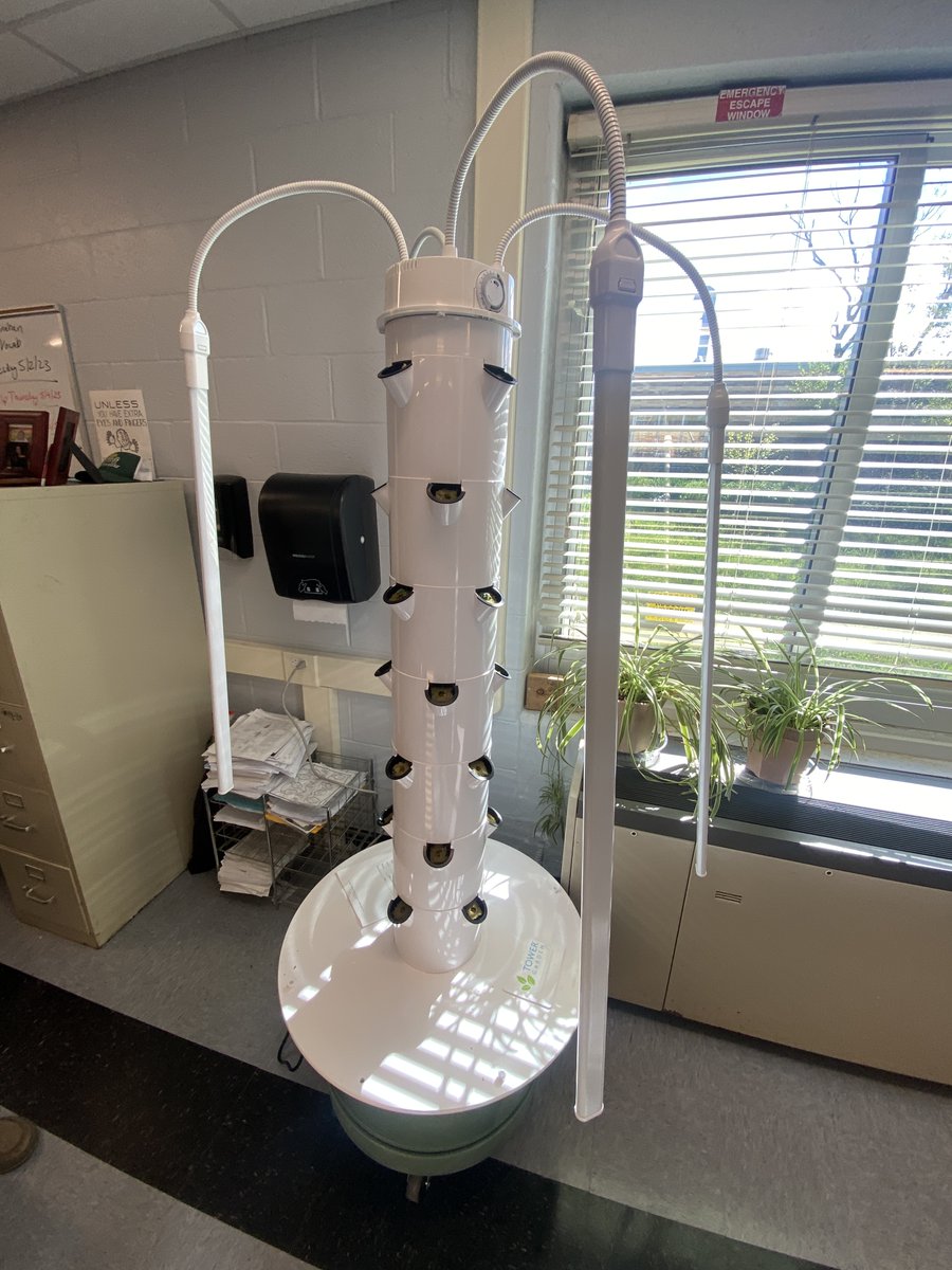 SamosetMiddle's tweet photo. Kudos to Mrs. Firmbach and the science department.  Currently we have 3 hydroponic growing towers in our school.  7th grade students are growing fresh lettuce and herbs in the classrooms.  Planting took place Monday 5/1 and we already have growth. @SachemSchools https://t.co/uQoUFLRb5a
