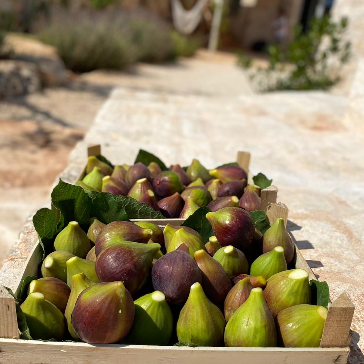 Puglia, a food lovers delight - mailchi.mp/essentialitaly…