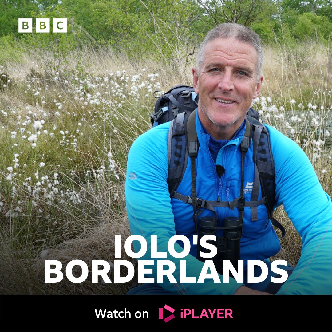 Aden Productions tweet media