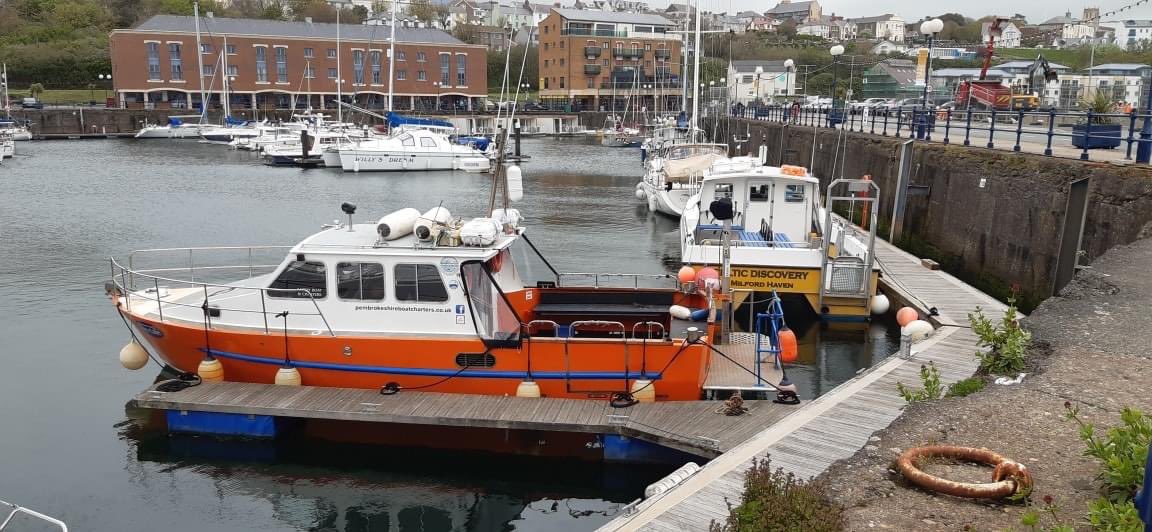 Dearne Valley Divers tweet media