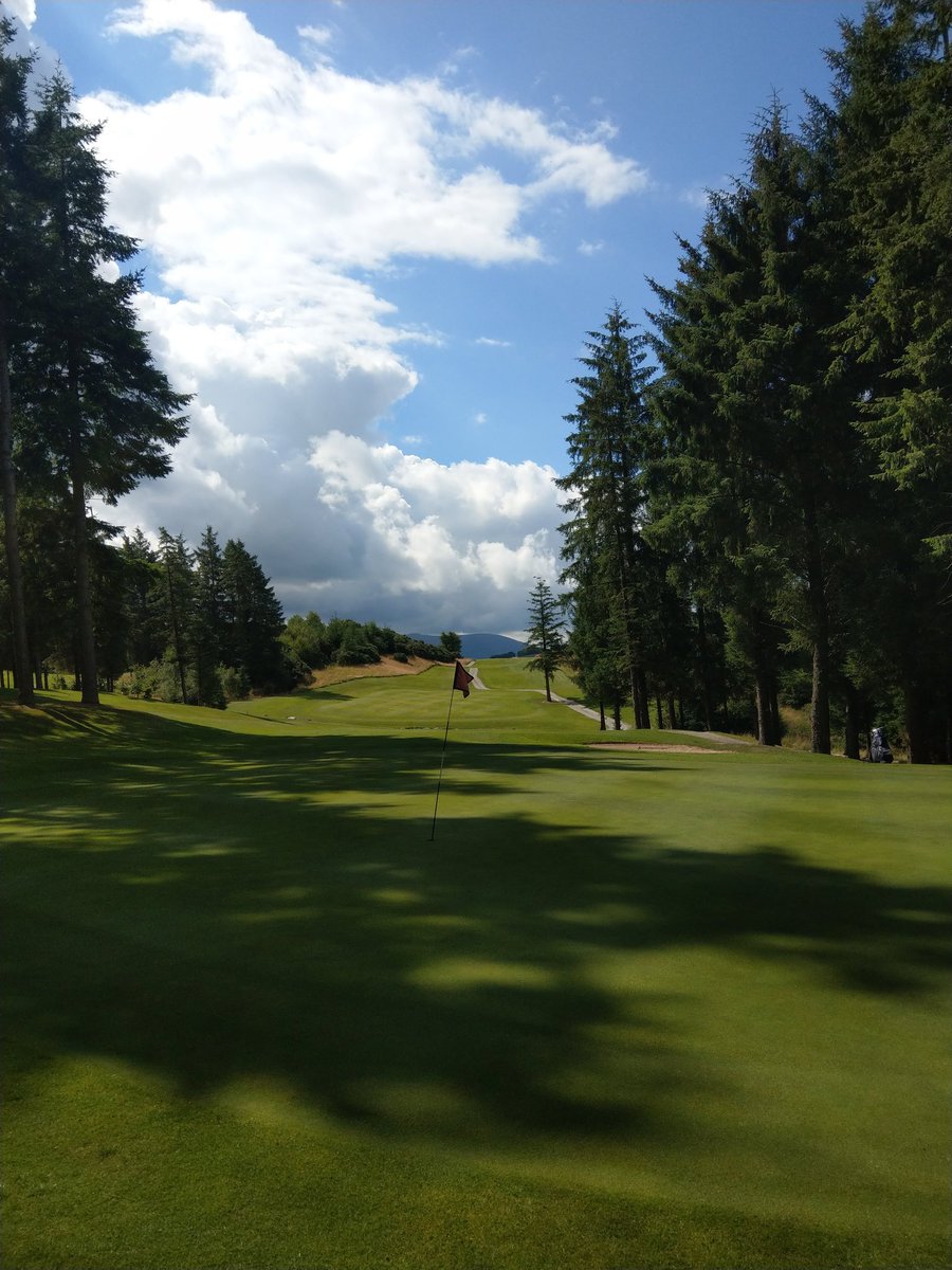 murr5patrick's tweet photo. @macreddingolf Sunday 28th May It's the Club's annual Yellow ball 🌕🌕 rumble details below 👇👇#gloriousmacreddin👌🏌 https://t.co/tXzdwxSlHC