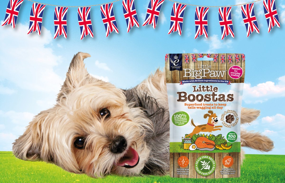 LittleBigPaw's tweet photo. Happy Coronation Weekend everyone from Little BigPaw - proud to be flying the flag ! #Coronation  #madeintheuk #KingCharlesCoronation https://t.co/lrX0KM06bc