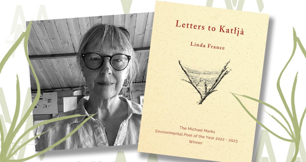 YvonneReddick's tweet photo. A #climatechange letter prompt for you! Share it at #EcoCreativeWriting to send it into the world!
Thank you, @NewWritingNorth & @letterstoearth_ for the idea. Example environmental letters by #seamusheaney & Linda France.
#writingprompt #writinglife #climate #writingtip https://t.co/3KsikbbU67