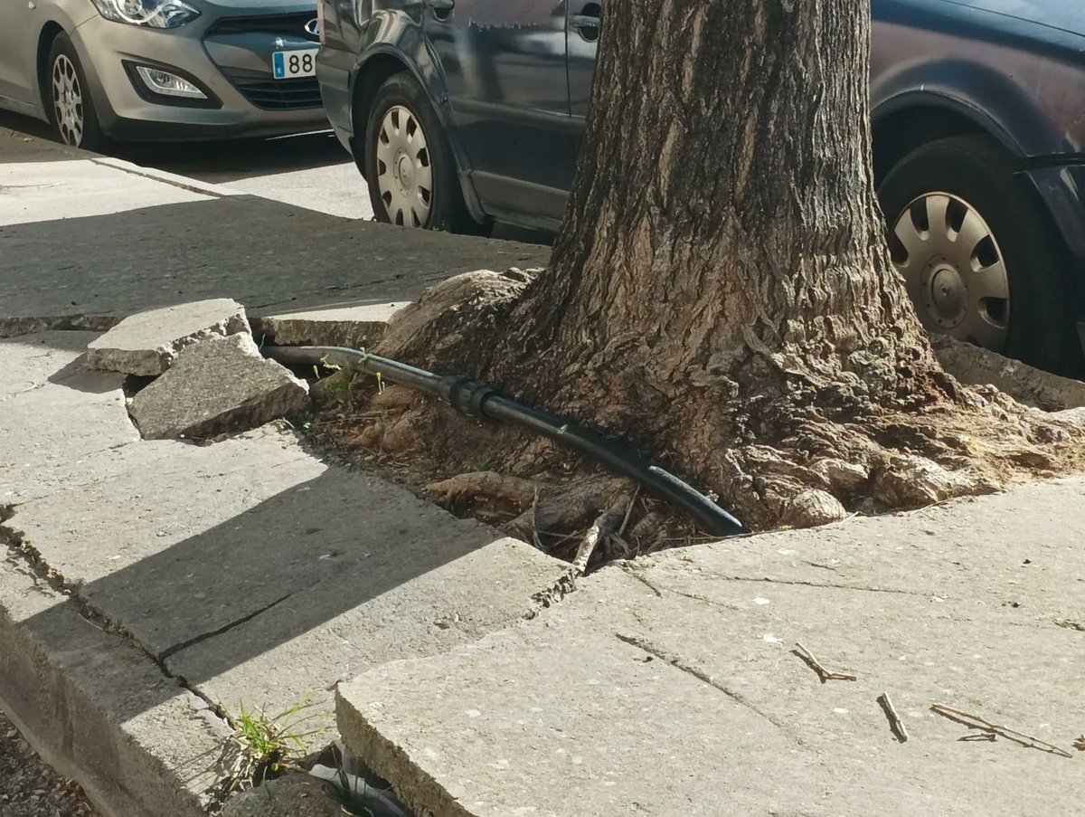 Axsi_Jerez's tweet photo. 👉 Desde Axsí denunciamos tras la visita a la barriada los Pinos el mal estado del acerado y las barreras arquitectónicas.
Se trata de en una barriada que tiene más de 50 años y la población es mayor. 
‼️Los vecinos denuncian también la presencia de ratas.
 
#jerezmerecemas https://t.co/Fud6ByUER7