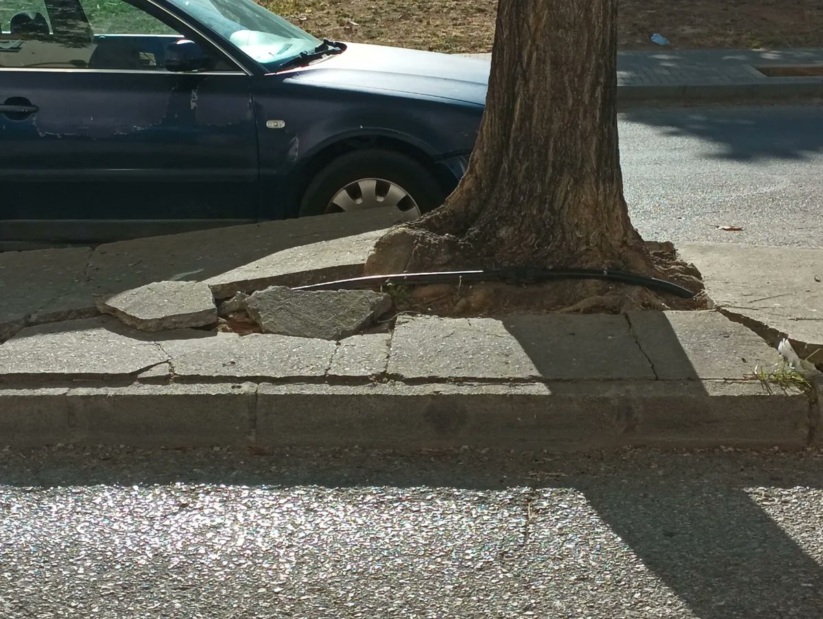 Axsi_Jerez's tweet photo. 👉 Desde Axsí denunciamos tras la visita a la barriada los Pinos el mal estado del acerado y las barreras arquitectónicas.
Se trata de en una barriada que tiene más de 50 años y la población es mayor. 
‼️Los vecinos denuncian también la presencia de ratas.
 
#jerezmerecemas https://t.co/Fud6ByUER7