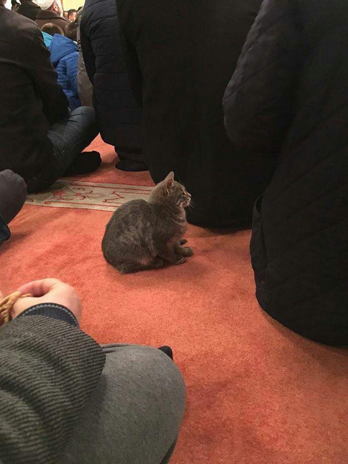 No distractions, full attention on the khutbah 💪🏽