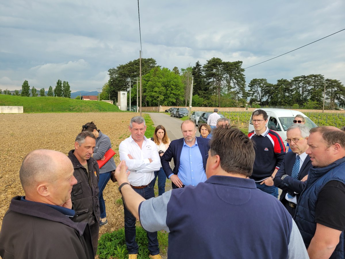 nchuzeville's tweet photo. [Rencontre]
Yves Seguy, préfet de #SaoneetLoire a rencontré les responsables viticoles du #Beaujolais71 pour évoquer la Flavescence dorée qui évolue rapidement dans le département.
Tout le monde s'organise pour activer les différents moyens de lutte: prospection, arrachage,... https://t.co/m4yH8BYBZy