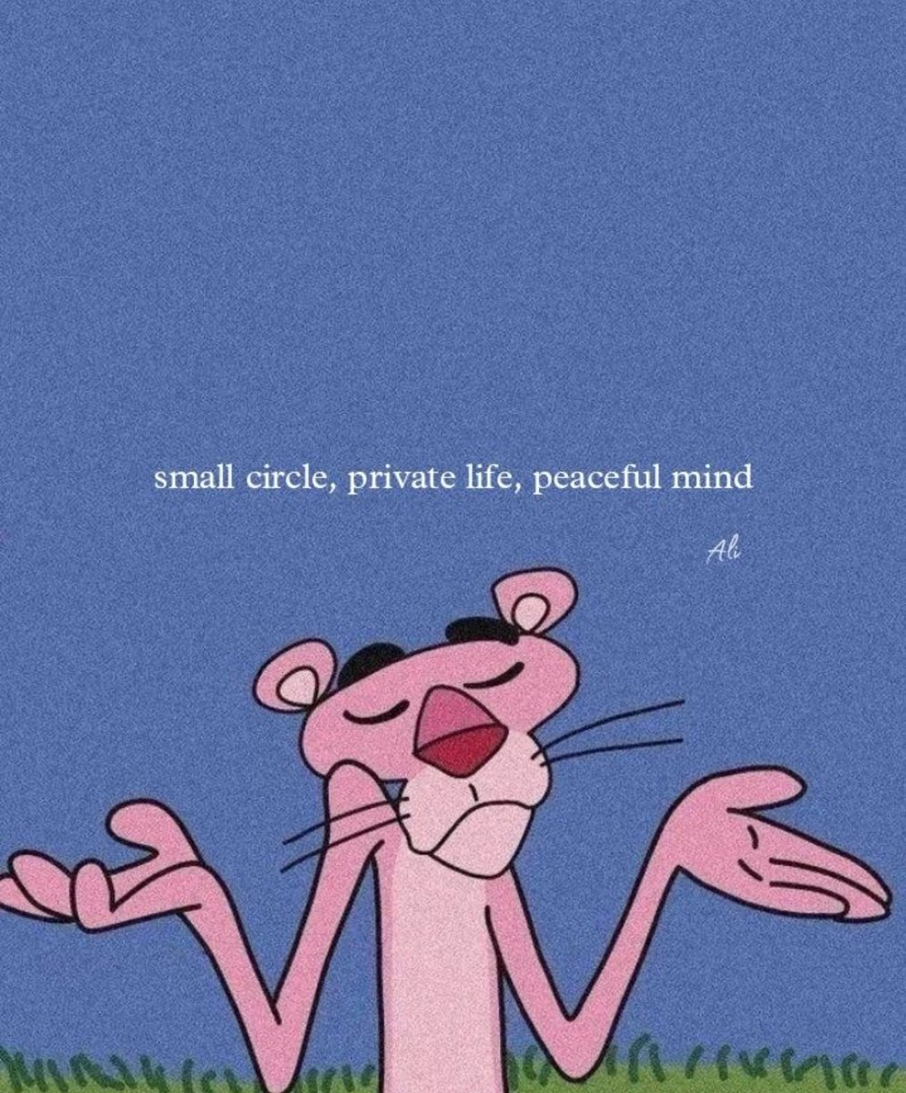 Self-Care Canvas 🦋 tweet media