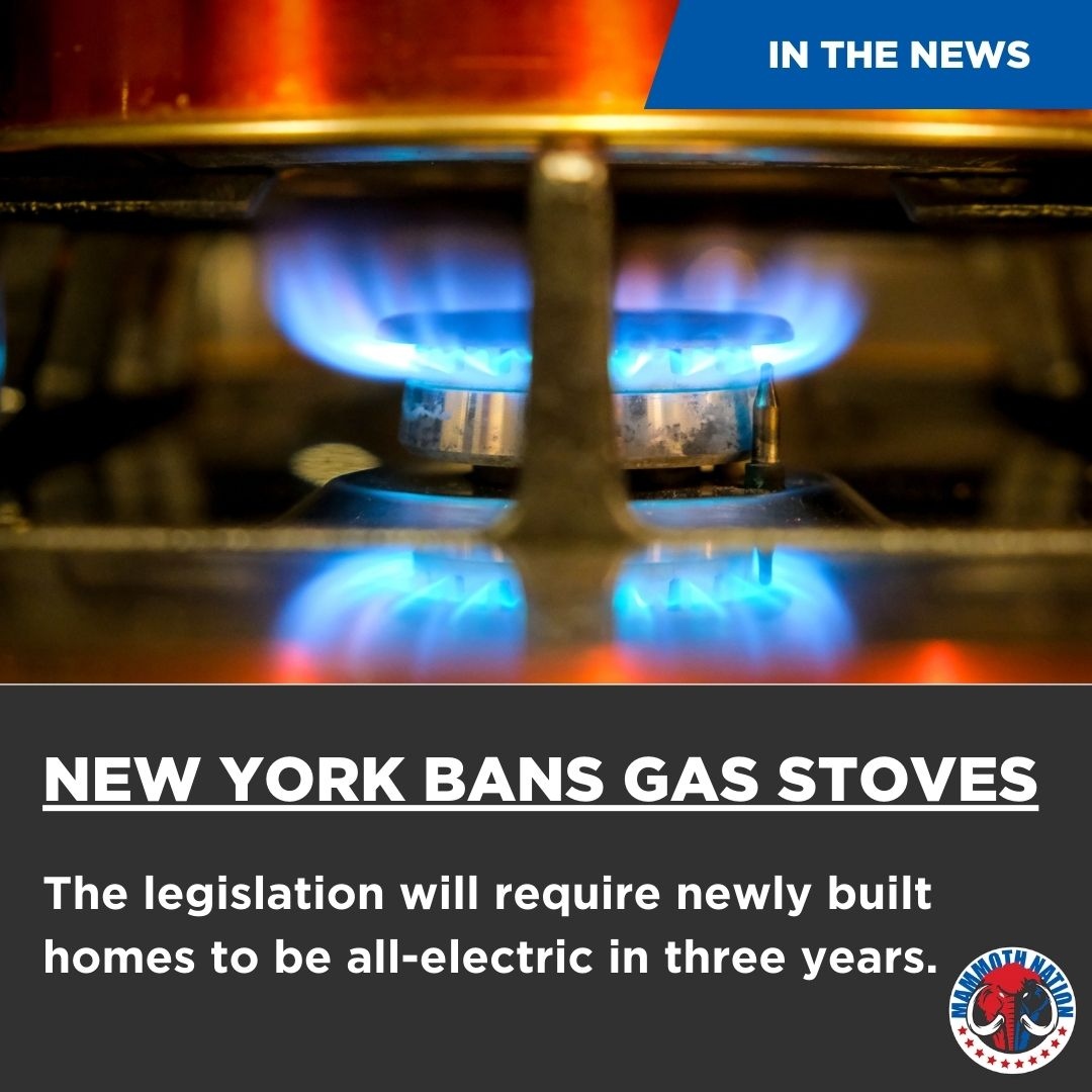 They are coming for our gas stoves....

#Biden #GasStoves #NewYork #Dems #Democrats #ShopToTheRight #MammothNation
