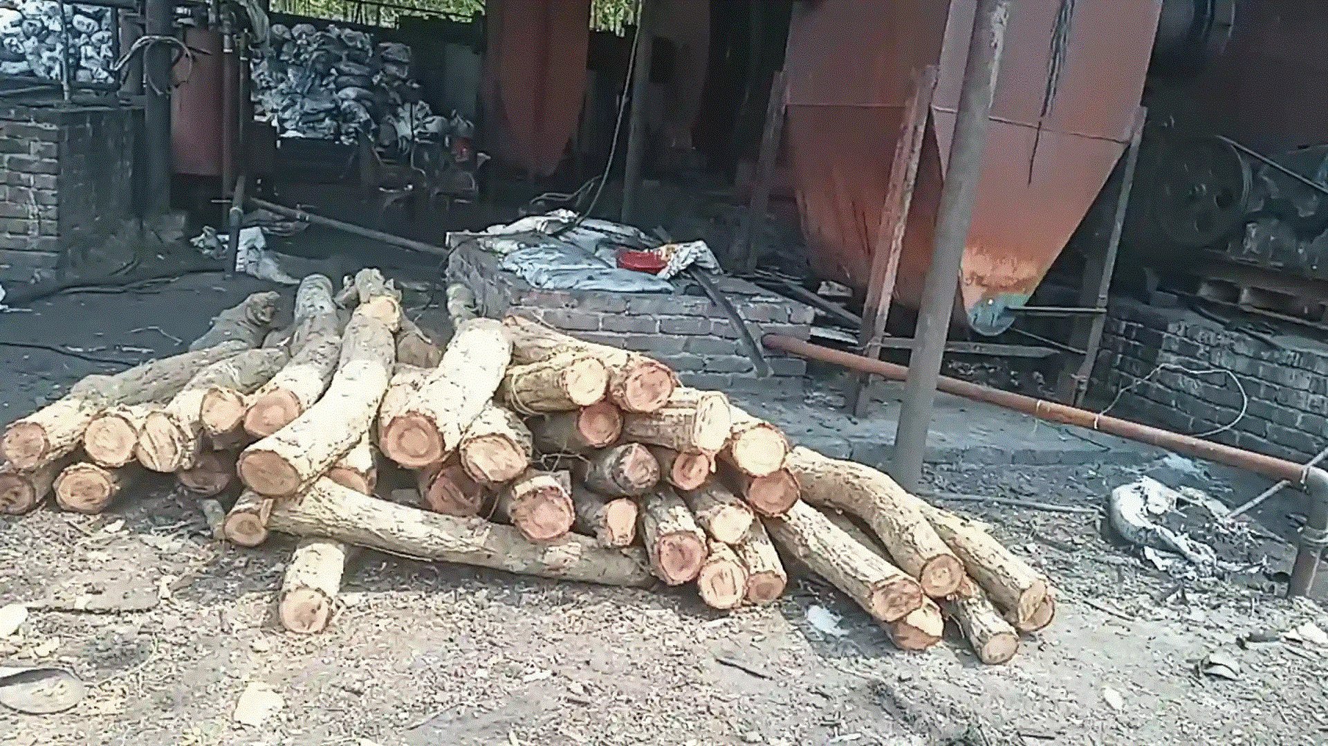 বিটোমিন অয়েল কারখানা থেকে গজারী বল্লী ও জ্বালানি কাঠ উদ্ধার