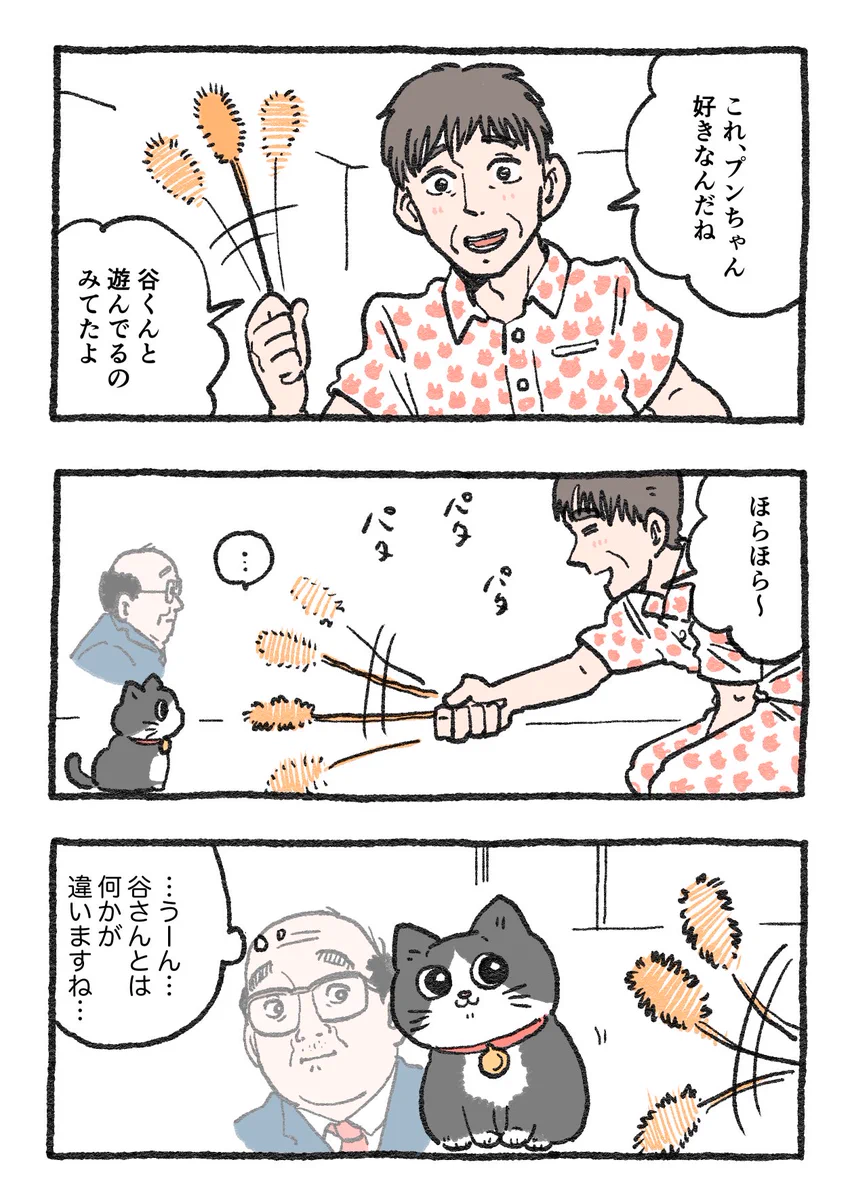 「ねこ転」その90が公開！猫じゃらしで遊んでくれる社長にプンちゃんは…？