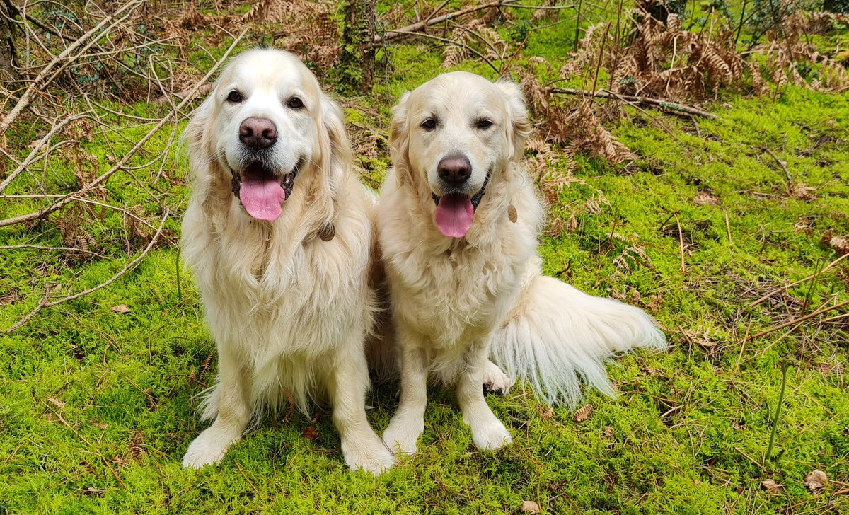 Very pleased with our new bright green office carpet #FridayCarpet