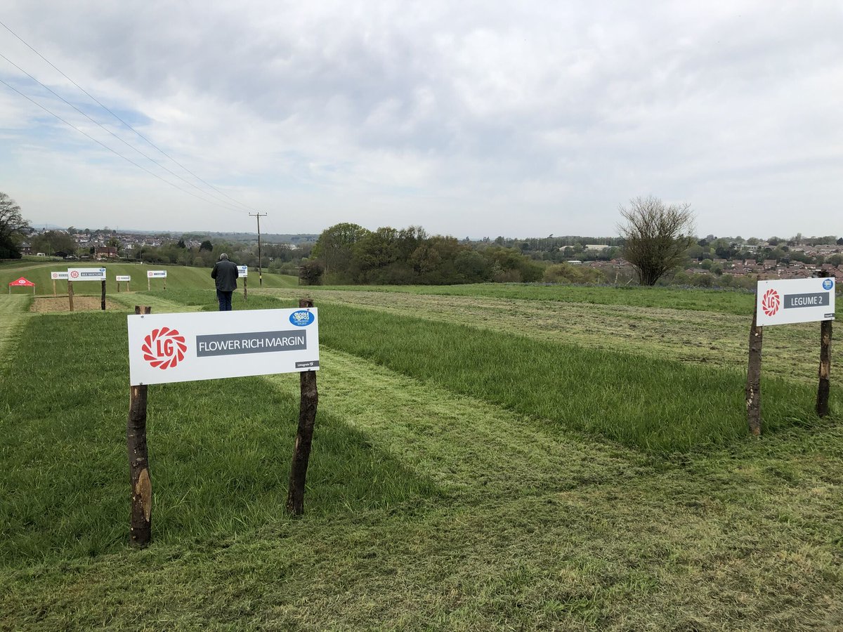 LGSeedsUK tweet media