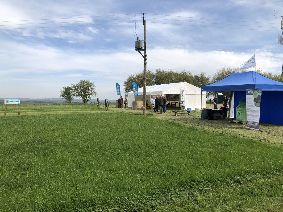 LGSeedsUK tweet media