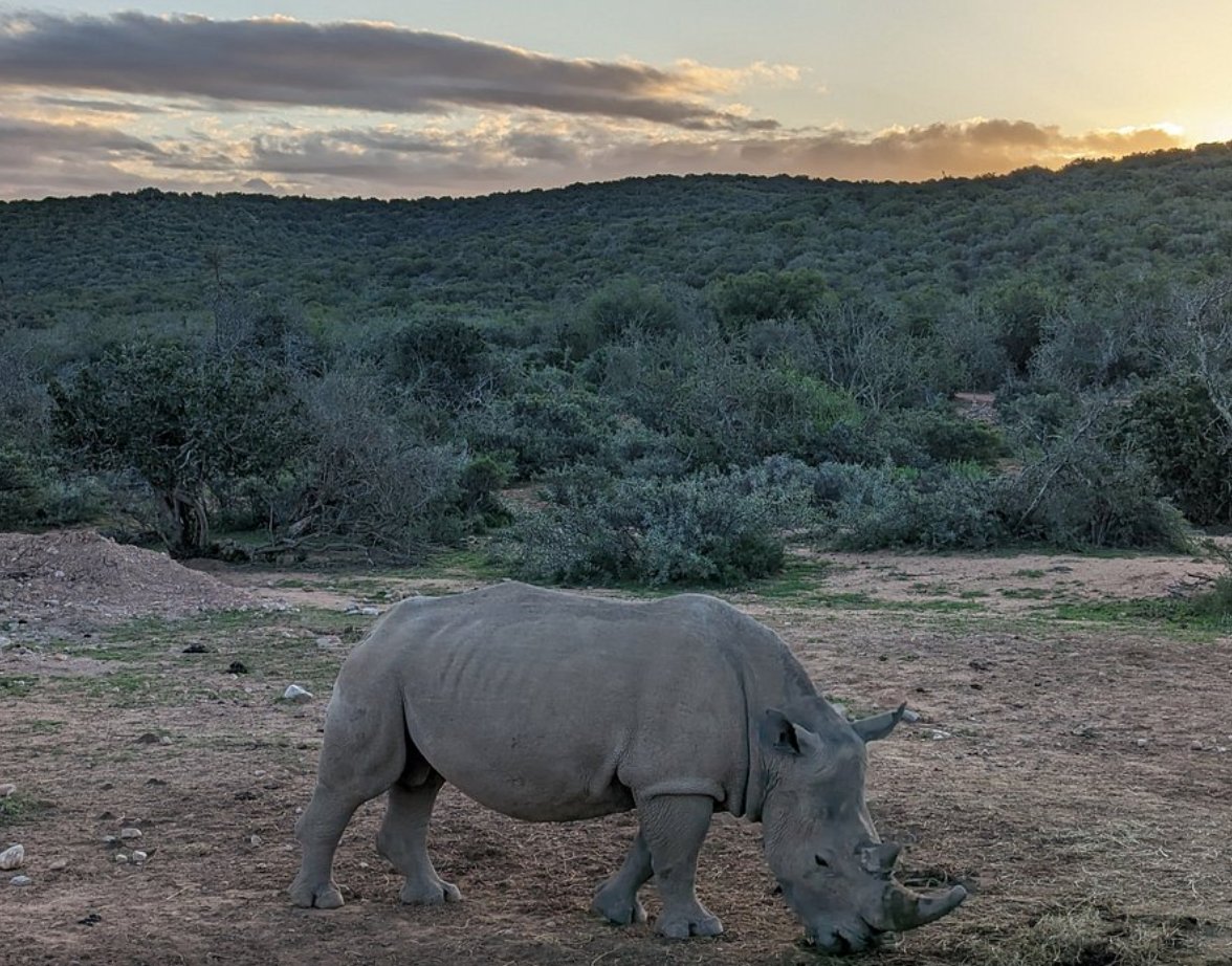 hotspots2c's tweet image. Thanks for #tour2cchange &quot;...amazing tour. It was the first time for my brother and mother to be in South Africa... Everything was planned quite well and we had a lot of fun during this trip. ...our guide named TK was the best guide!&quot; - 5-star TripAdvisor review by @ nin736