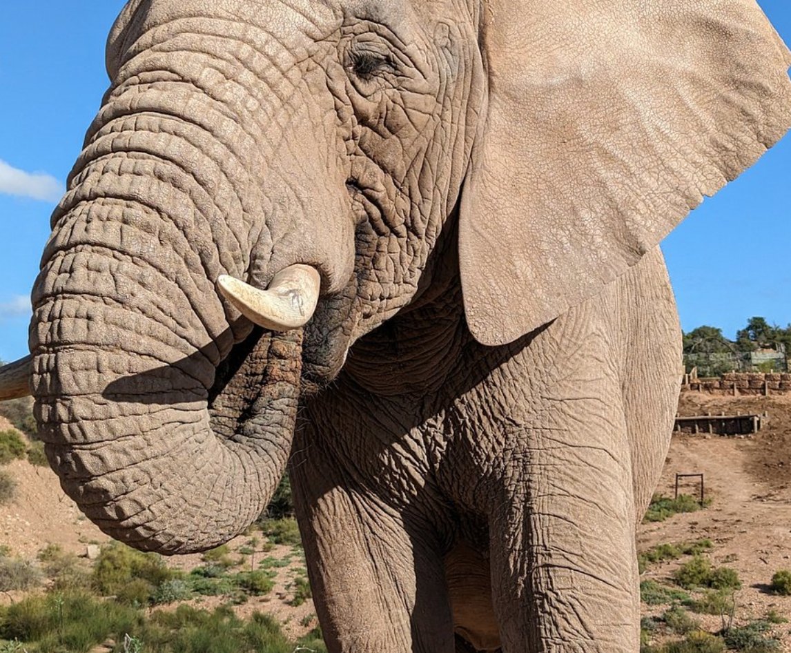 hotspots2c's tweet image. Thanks for #tour2cchange &quot;...amazing tour. It was the first time for my brother and mother to be in South Africa... Everything was planned quite well and we had a lot of fun during this trip. ...our guide named TK was the best guide!&quot; - 5-star TripAdvisor review by @ nin736