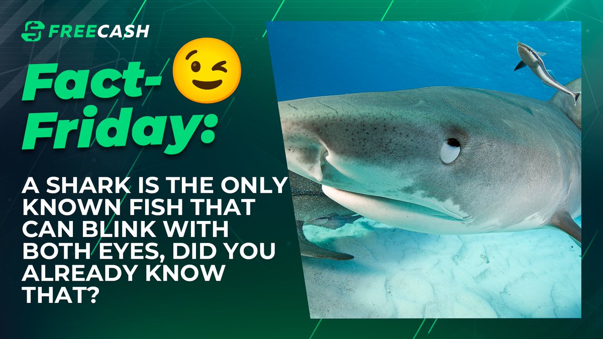 Freecash.com tweet media