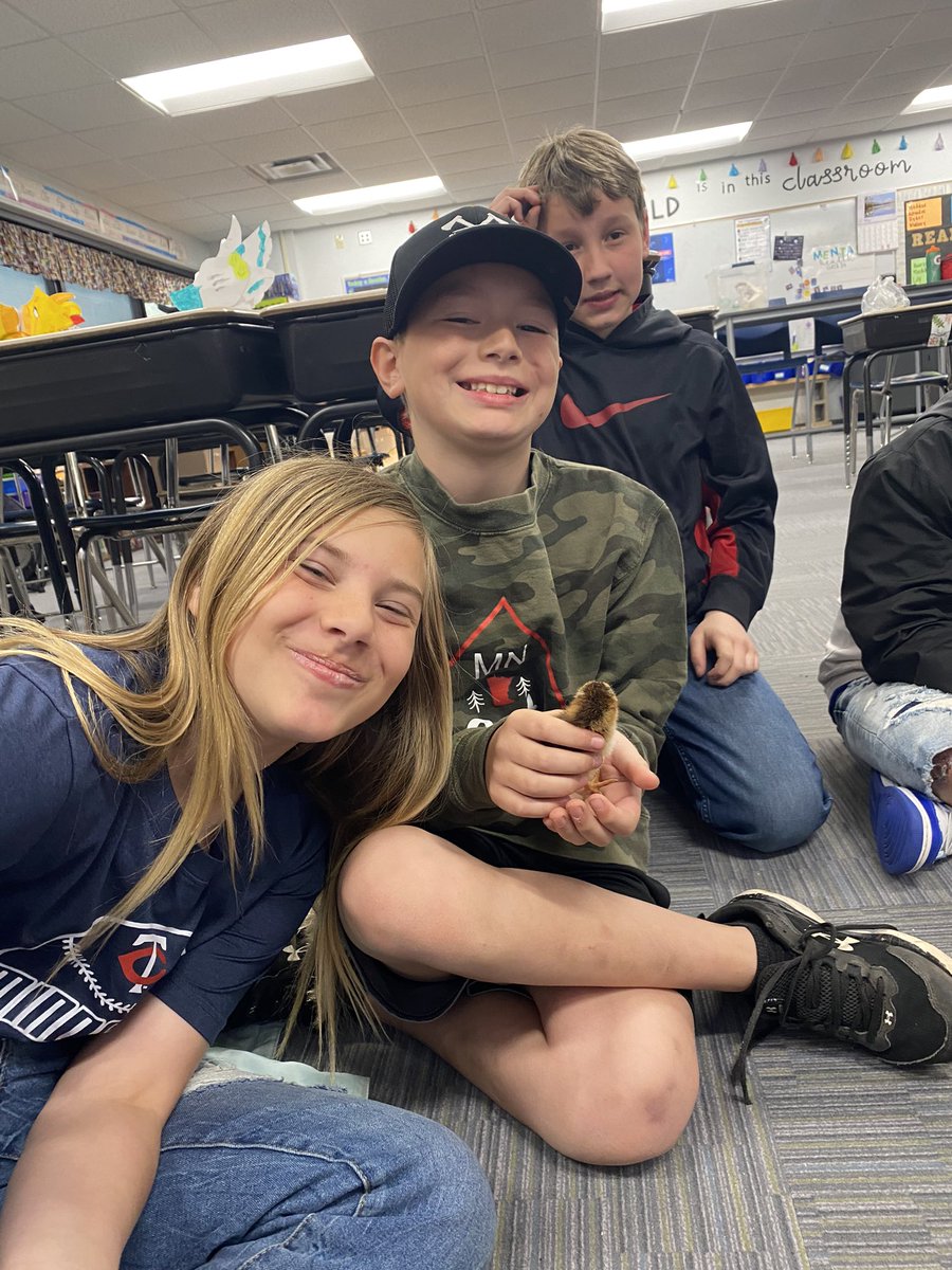 We love our new classmates! 🥰🐣🐥