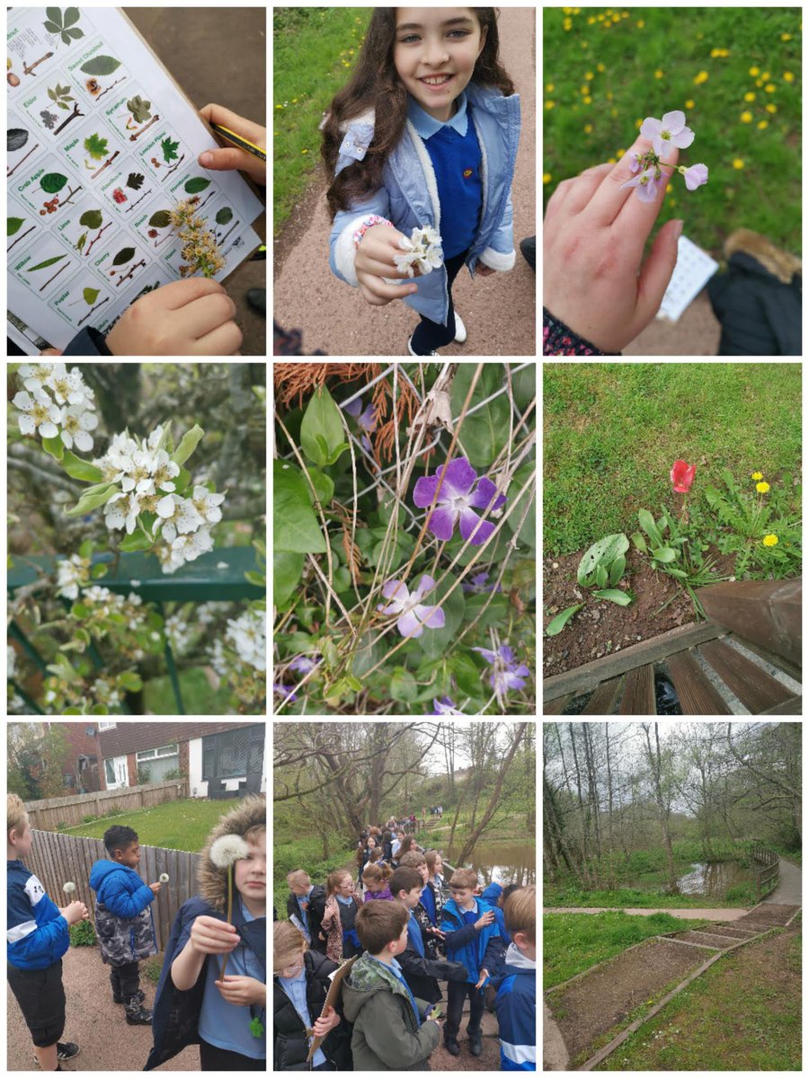 MCPS_year4's tweet photo. Our new inquiry question is ‘What do living things need to survive?’.  We have been exploring outside to identify plants, trees and wildlife. We’ve also had two special visits to find out about how animals adapt to their environment. 🦜🌿🪱🦎 https://t.co/sNjehiihcX